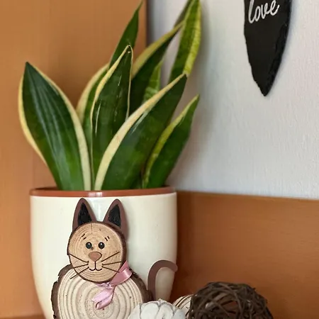 Sallacher Guet'l * Grobming