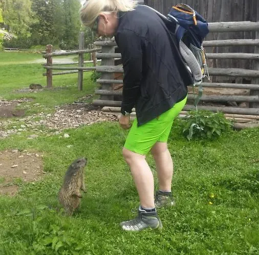 Sallacher Guet'l Appartement